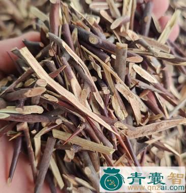 中药材黄角刺图片