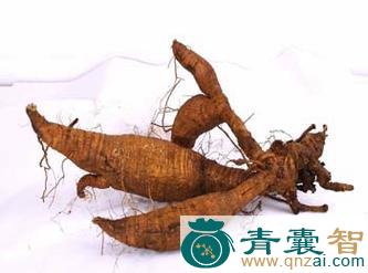 黄野葛的性状性味归经以及功效用法和注意事项-青囊智