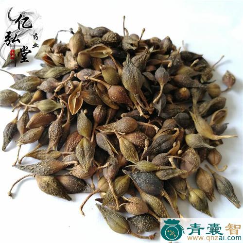 中药材黄链条花图片