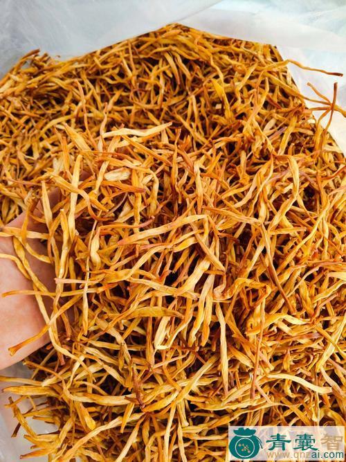 中药材黄马技花图片