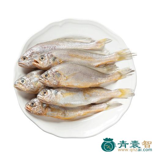 中药材黄鱼图片