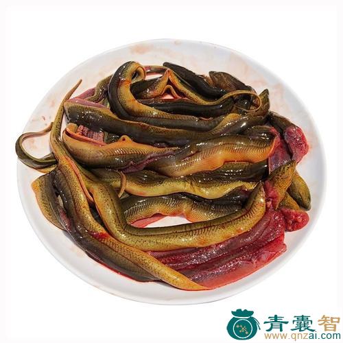 中药材黄鳝图片