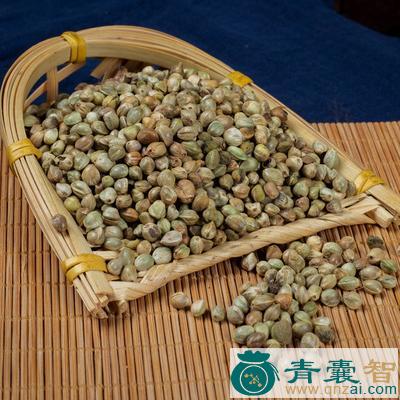 中药材黄麻仁图片