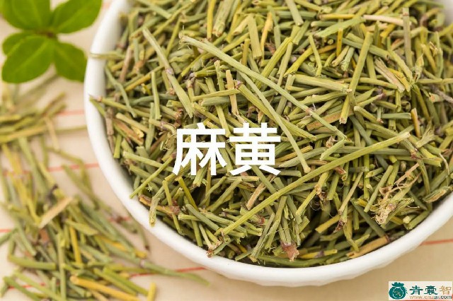 中药材黄麻子图片