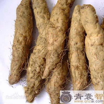 中药材黎洞薯图片