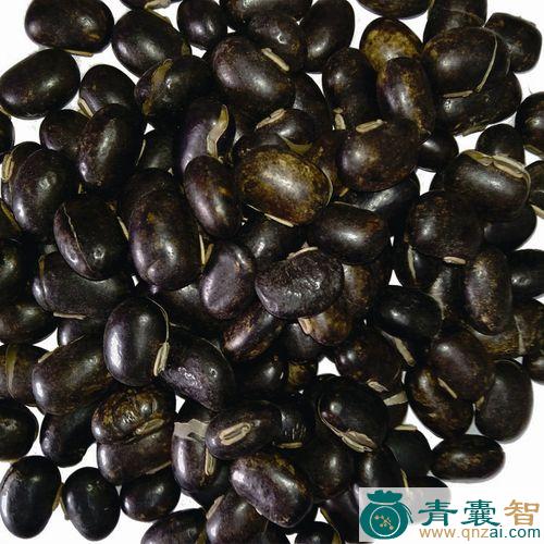 黎豆的性状性味归经以及功效用法-青囊智