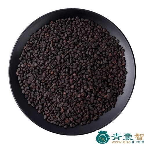 中药材黑丑图片