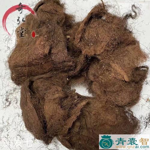 中药材黑丝带图片