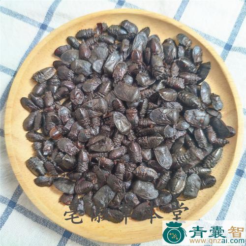 中药材黑兜虫图片