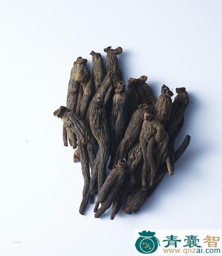 中药材黑参图片