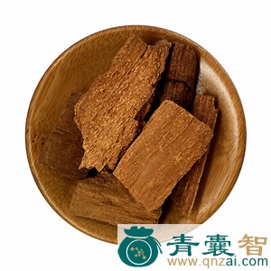 中药材黑弹木图片
