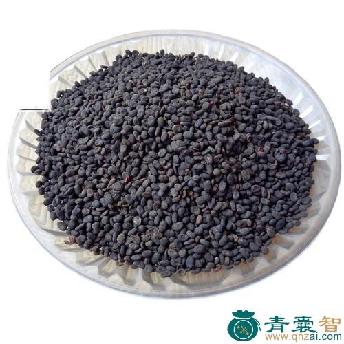 中药材黑故子图片