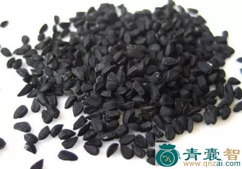 中药材黑旦子图片