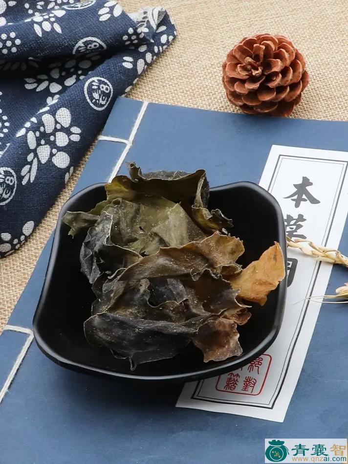 黑昆布的性状性味归经以及功效用法-青囊智
