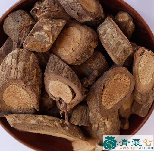 中药材黑根药图片