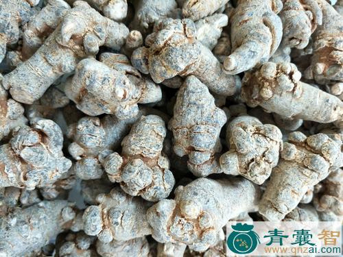 中药材黑滑头图片