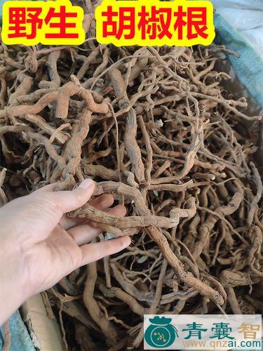 中药材黑牛筋图片
