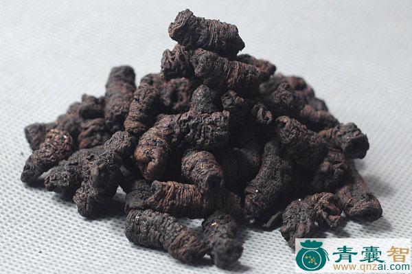 黑羊巴巴的性味归经以及功效用法-青囊智