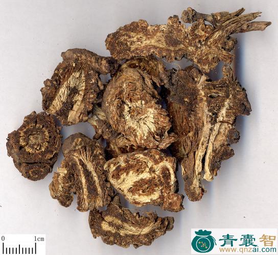 中药材黑羌活图片