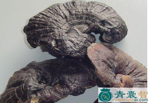 黑芝的性状性味归经以及功效用法-青囊智