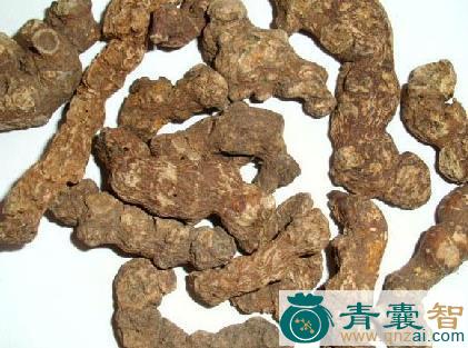黑莨菪的性状性味归经以及功效用法-青囊智