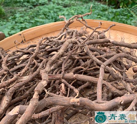中药材黑藤钻图片