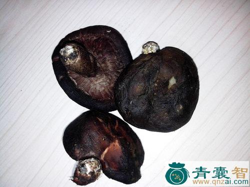 中药材黑蘑菇图片