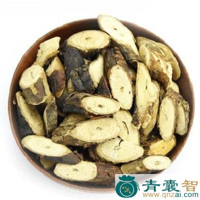 黑透骨的性状性味归经以及功效用法-青囊智