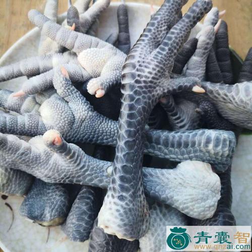 中药材黑鸡脚图片