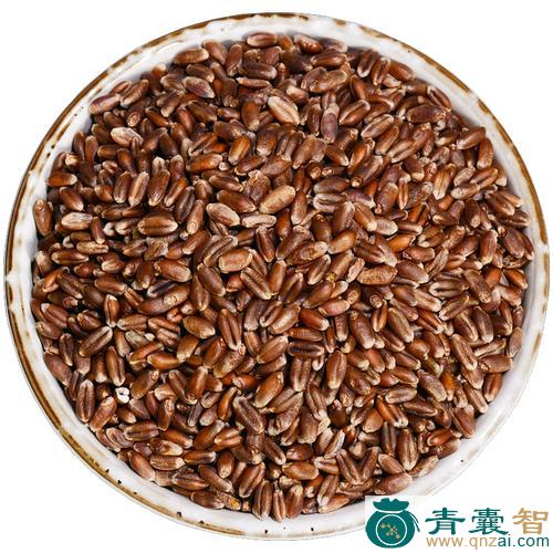 中药材黑麦乌米图片