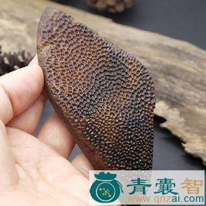中药材鼋肉图片
