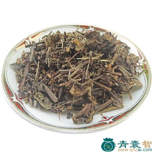 中药材鼠尾图片