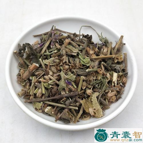 中药材鼠尾红图片