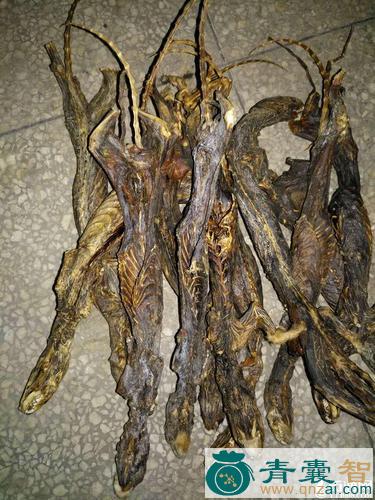 鼬鼠肉的性味归经以及功效用法-青囊智