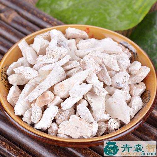 中药材龙图片