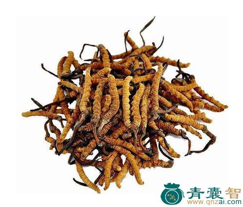 中药材龙华图片