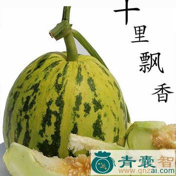 中药材龙密瓜图片