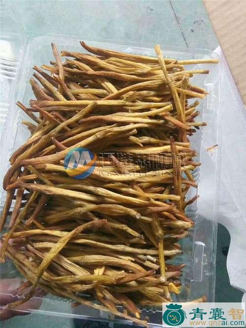中药材龙尾图片