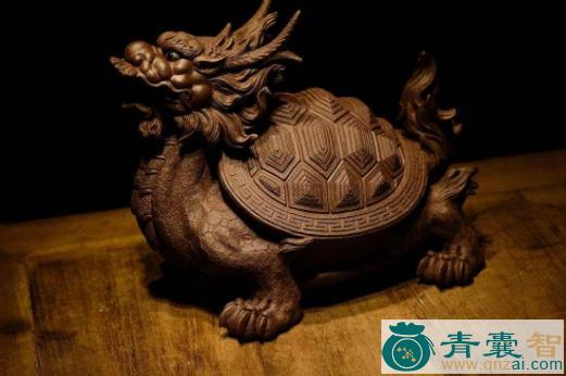中药材龙毛龟图片