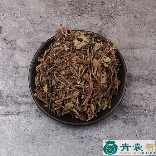 中药材龙泄图片