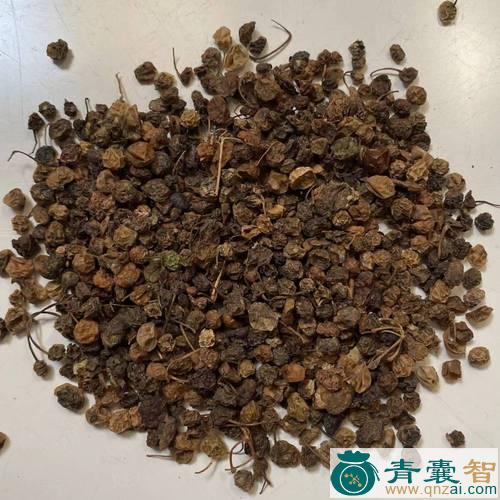 中药材龙珠子图片