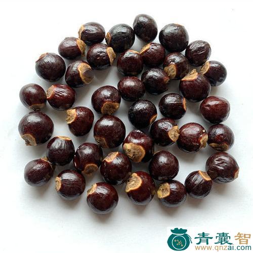 中药材龙眼核图片