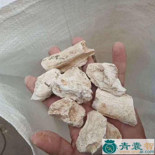 中药材龙豆图片