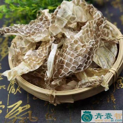 中药材龙退图片