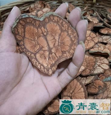 龙须藤根的性味归经以及功效用法-青囊智