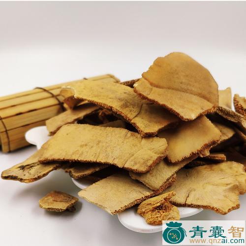 龟版的性状性味归经以及功效用法和注意事项-青囊智