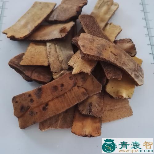 中药材龟足图片
